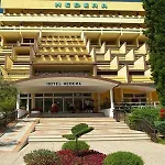 فندق Maslinica Hedera غاباس