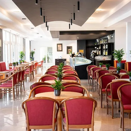 Maslinica Hedera Hotel 4*