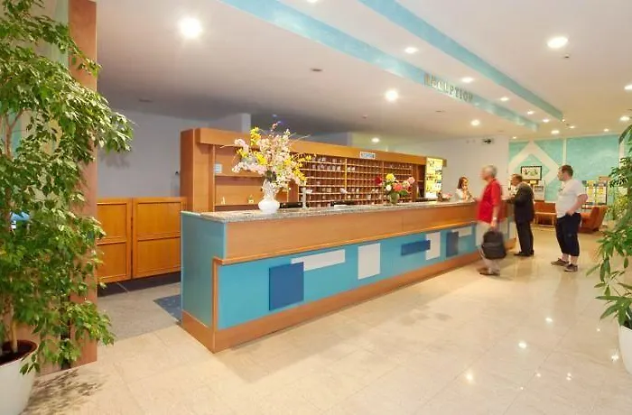 酒店 Maslinica Hedera 4*