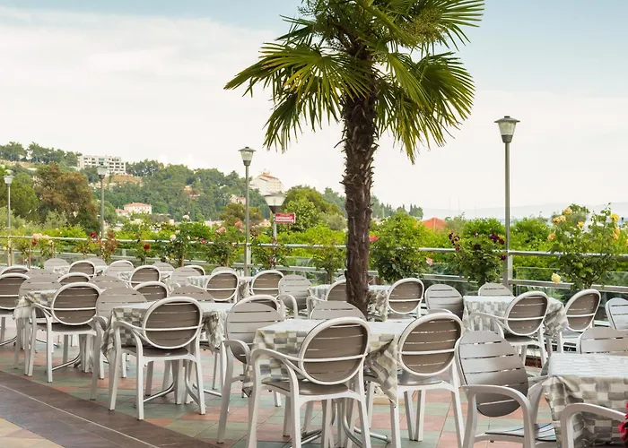 酒店 Maslinica Hedera 4*