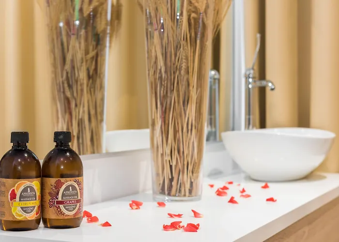 酒店 Maslinica Hedera