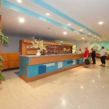 Maslinica Hedera Hotel 4*