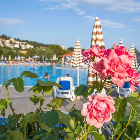 Maslinica Hedera ラバック